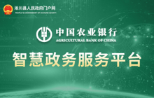 農業銀行智慧政務服務平臺
